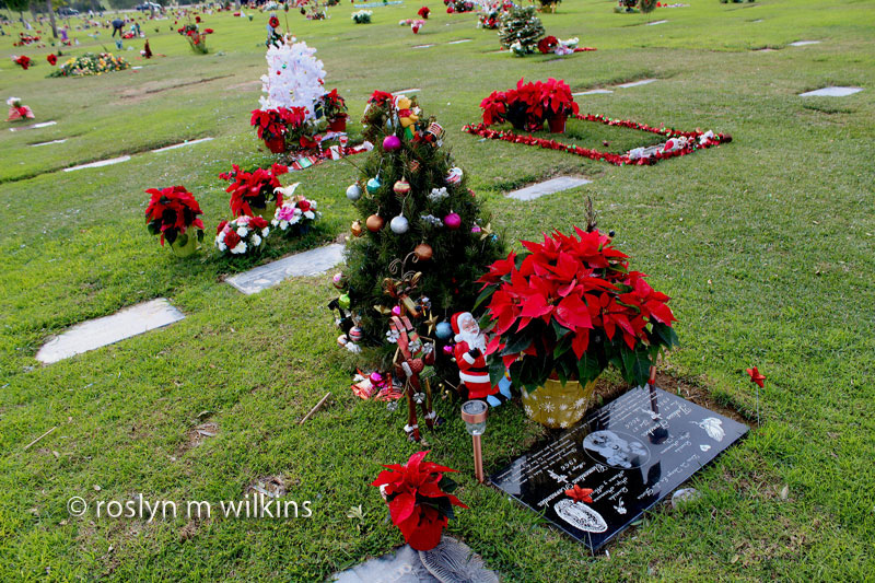 My Favorite Time Of Year At Culver City S Holy Cross Cemetery Rmw The Blog